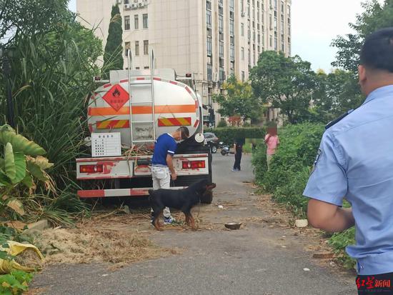 ▲事发后,涉事犬只与它的主人肖某