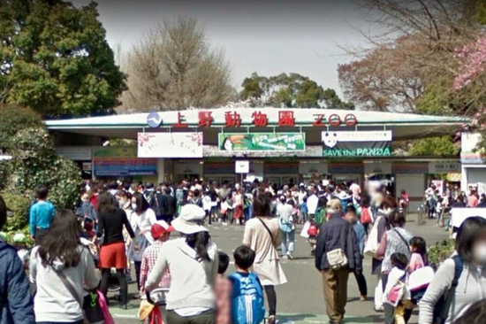 上野动物园门口(推特截图)