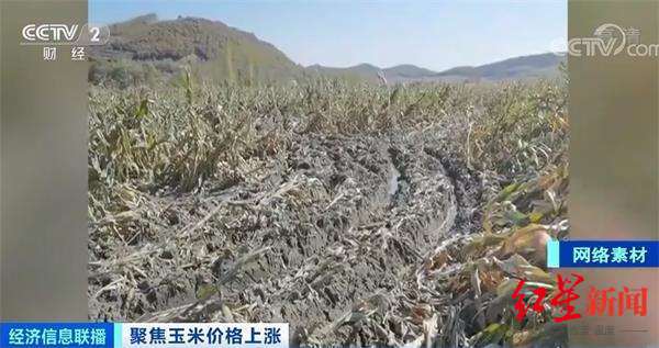图据央视财经
