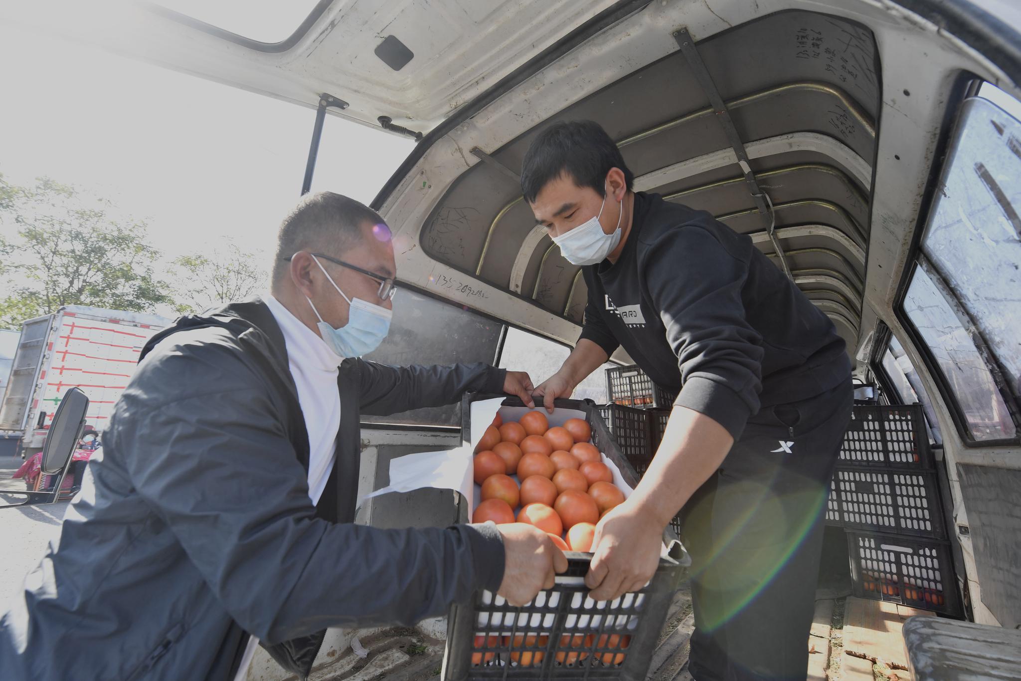 新发地市场蔬菜的日供应量已超过了1.5万吨,充足的供应保障了蔬菜价格的稳中有降。摄影/新京报记者 吴宁