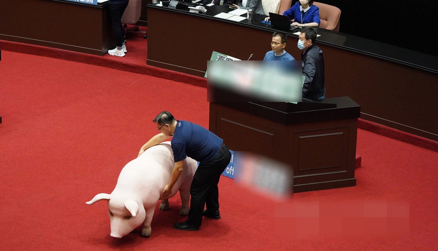 13日,“蓝委”将模型猪带入“立法院” 台媒图