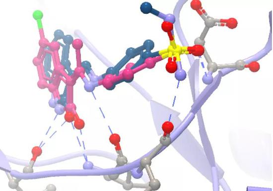 CLC drug discovery workbench 软件可以对结合位点进行可视化分析。