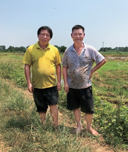 种粮大户文新华(左)在田间地头接受采访。