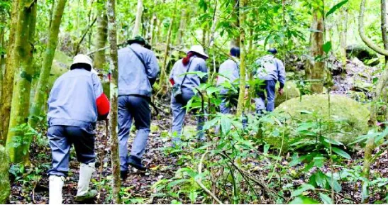 图中护林员正在山中巡查 图片来源:人民网