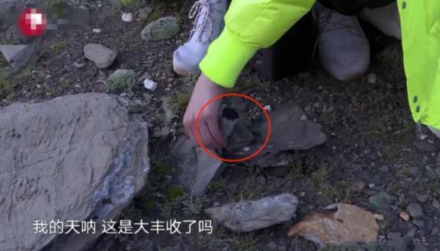 图片来源:视频截图