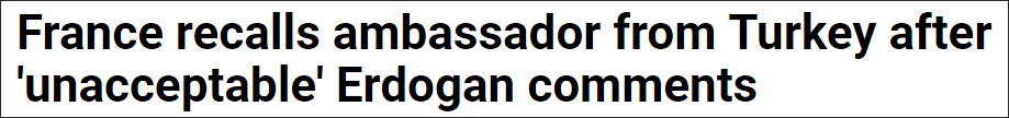 法国方面表示埃尔多安的言论“不可接受”,召回驻土大使 截图:法新社