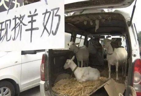 图片来源于网络