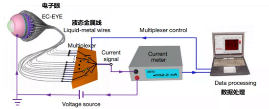 电化学眼工作过程