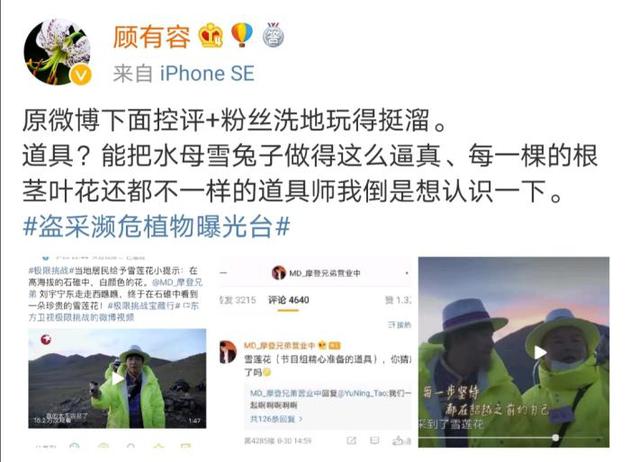 图片来源:植物学家顾有容微博