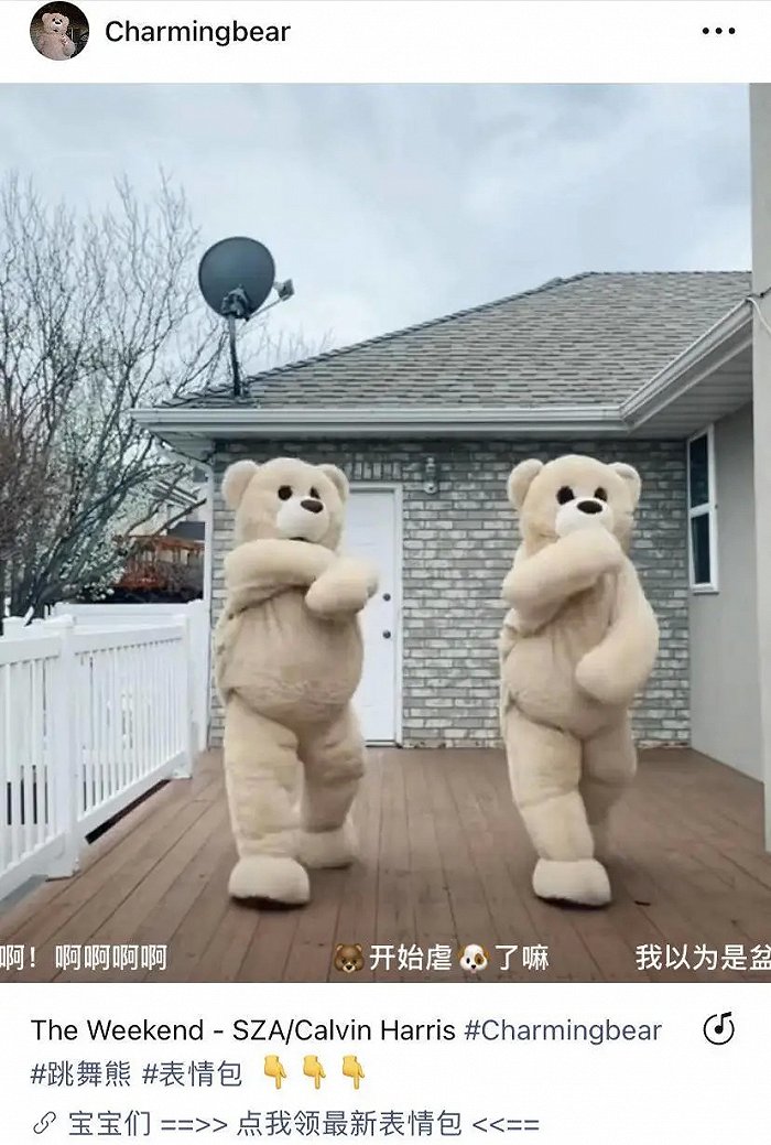 跳舞熊表情包博主在视频底部进行导流