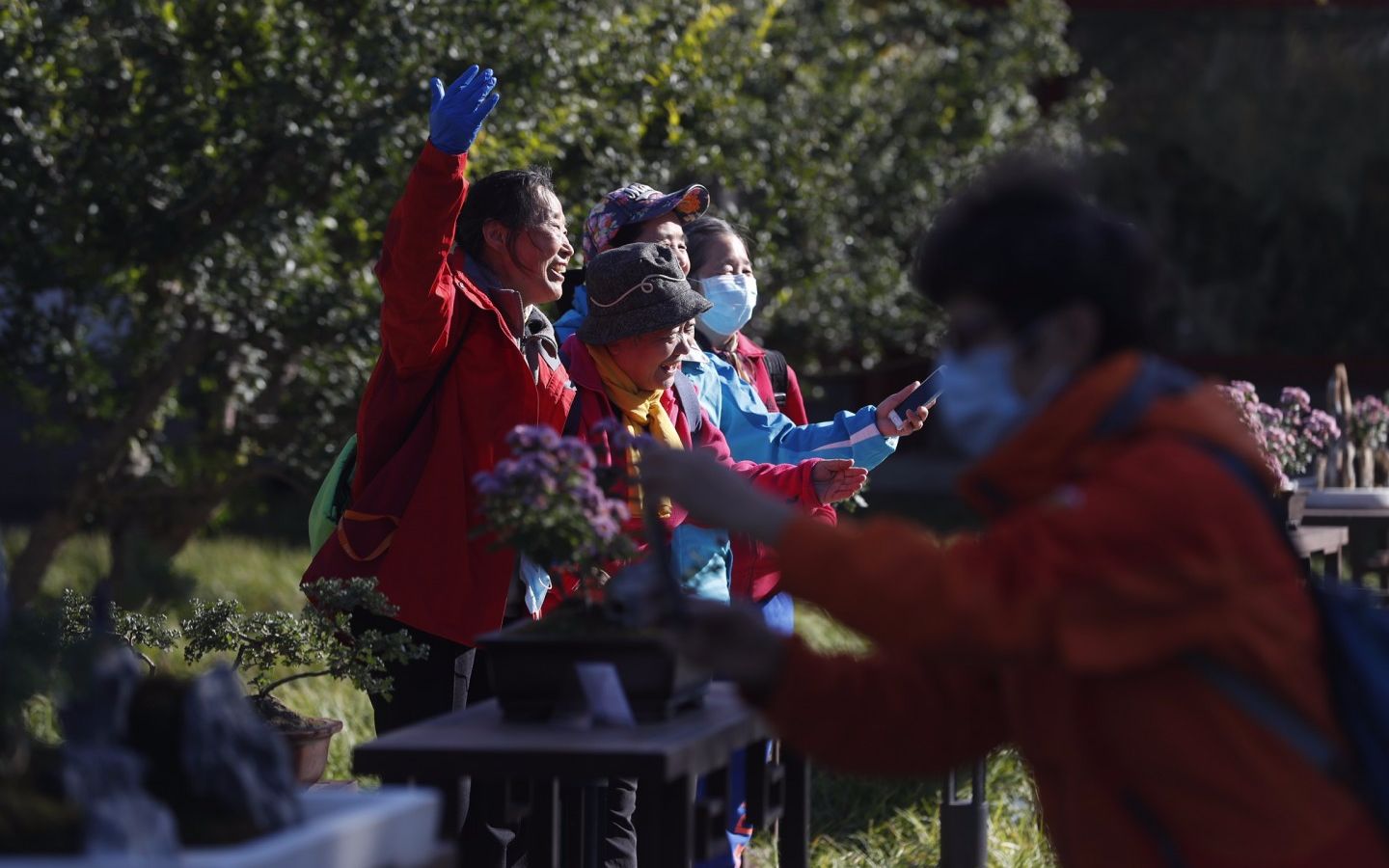 10月22日,北海公园阐福寺,市民在室外展区观赏拍摄菊花盆景。摄影/新京报记者 侯少卿