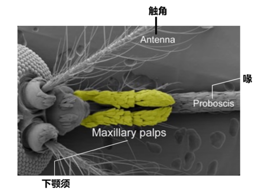 图片来源:https://www.youtube.com/watch?v=wF5KfsKxK6Q