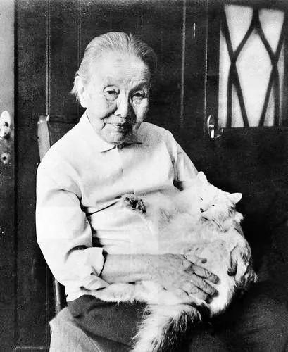 冰心奶奶与她的猫