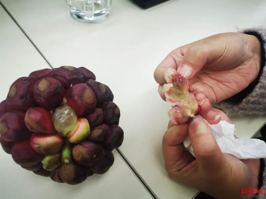 ↑“神奇水果”的果肉