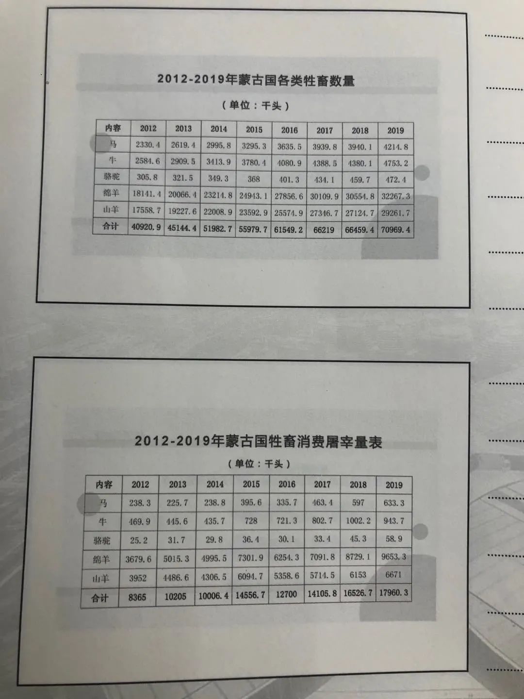 图片来源：吴林静 摄