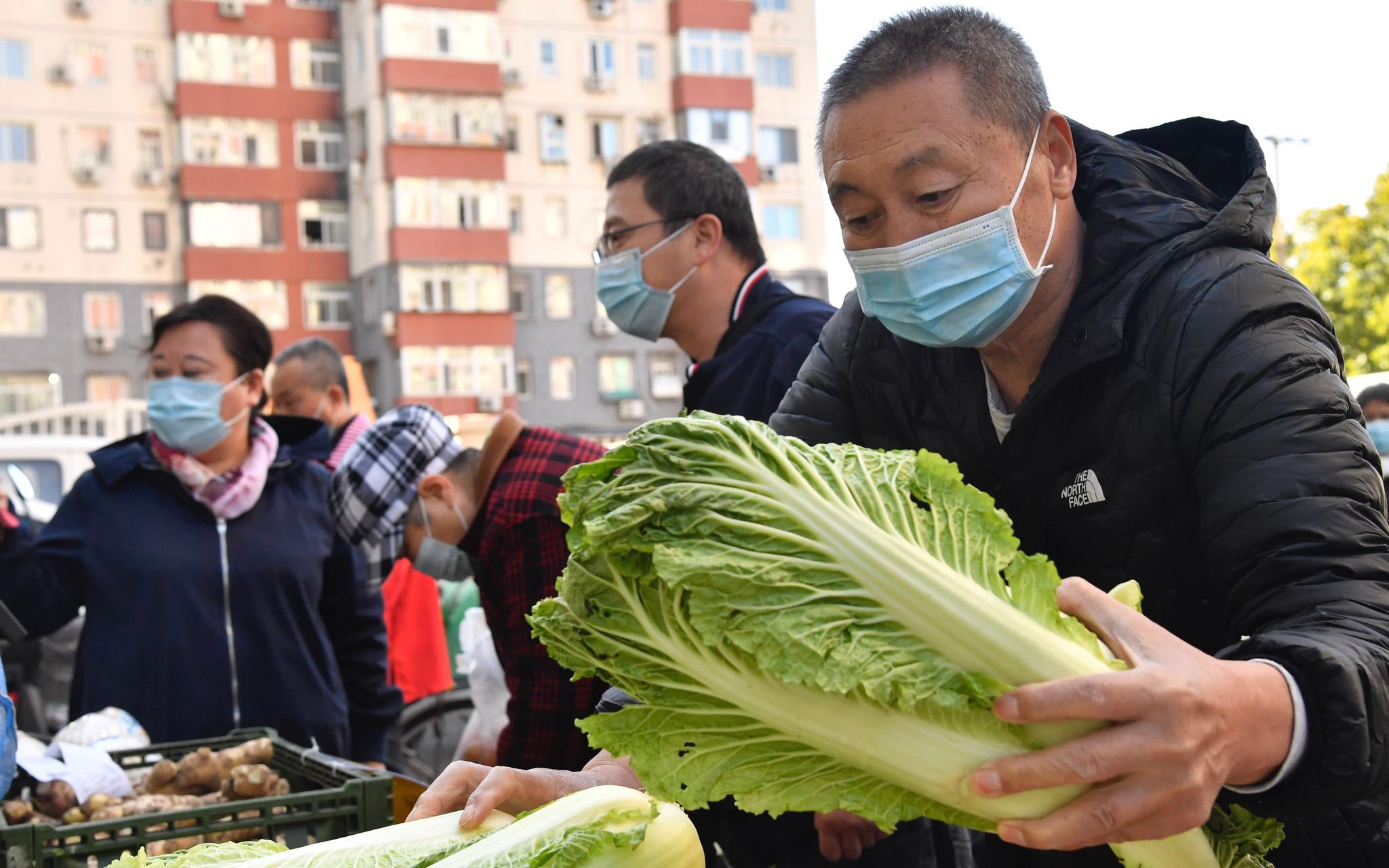 市民在挑选大白菜。新京报记者 吴宁 摄