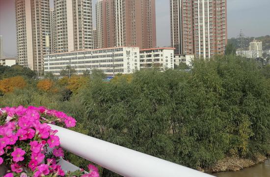 兰州生物药厂在黄河河畔,它的西北面有多个高层小区。