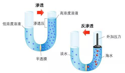 图3 渗透与反渗透原理 (图片来自网络)