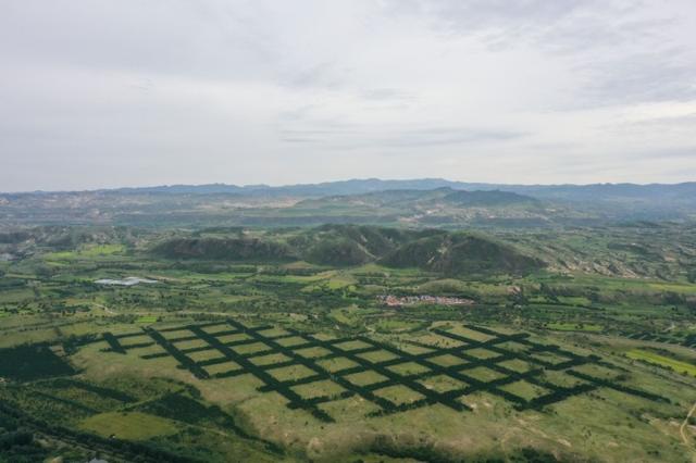 沙地变绿野,这是在内蒙古克什克腾旗拍摄的一处沙地治理后的状况。(图源:新华社)