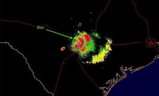 雷达检测到聚集的蝙蝠 | U.S。 National Weather Service