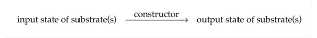 建构子理论的基本成分是建构子、输入基质和输出基质。建构子是能够引起特定物理变换,并保留再次进行这种变换的能力的任何对象。输入基质是呈现给建构子的物理系统,输出基质则是建构子对输入基质进行变换后产生的物理系统